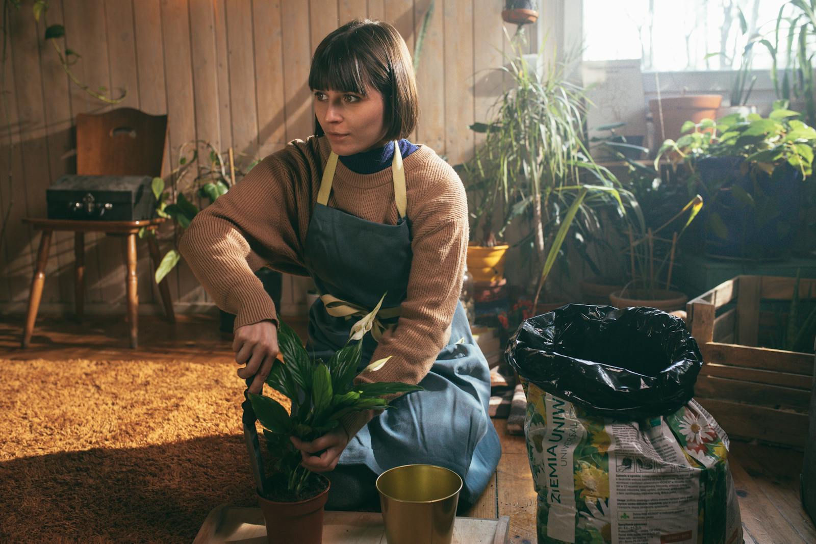 Woman gardening indoor plants, creating a cozy home garden space.