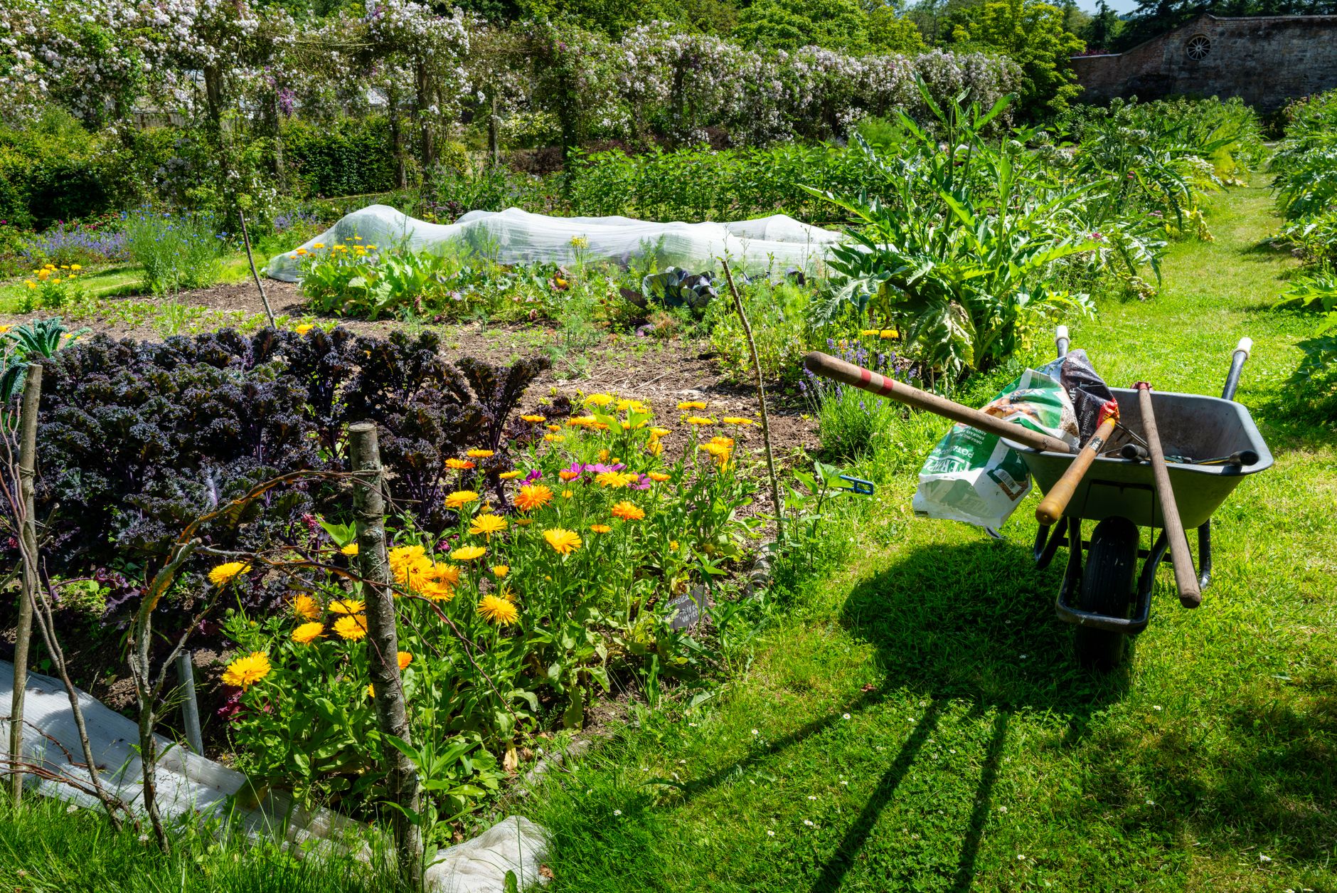 raised beds